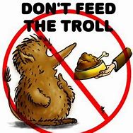 Image result for Anti-Troll
