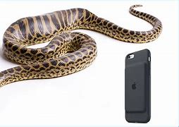 Image result for Case for iPhone 6s A1688