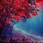 Image result for Black and Red Forest Background