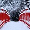 Image result for Red Winter Wallpaper