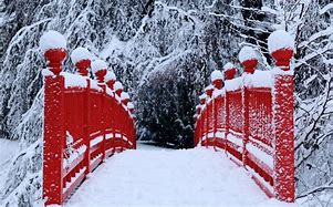 Image result for Wintery Red Backgrounds