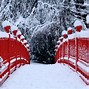 Image result for Beautiful Red Winter Wallpaper