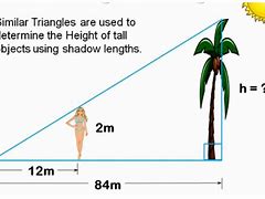 Image result for 4 Meters Tall Object