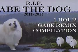 Image result for Gabe the Dog Meme