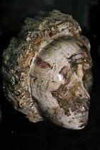 Image result for Petrified Face