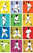 Image result for Shotokan Karate Martial Arts