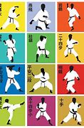 Image result for most dangerous karate out there