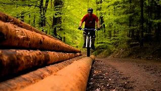 Image result for Hardtail Mountain Bike