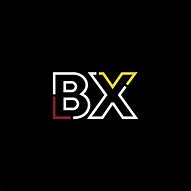 Image result for BX Trading Logo Design
