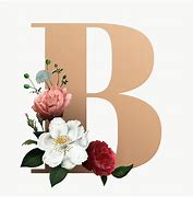 Image result for Beautiful Letter B Fonts
