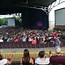 Image result for Jiffy Lube Live Section 303