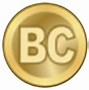 Image result for B/Bit Logo