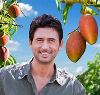 Image result for Mango