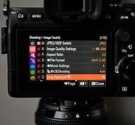 Image result for Sony A7iv Ansel Adams Exposure Chart