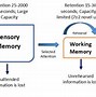 Image result for Human Memory Model