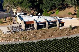Image result for Stag's Leap Wine Cellars Gamay