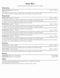 Image result for Independent Contractor Resume