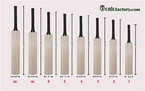 Image result for wood cricket bats size