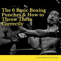 Image result for Basic Boxing Moves Punches