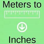 Image result for How Tall Is 9 Meters