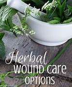 Image result for Herbs for Wound Healing