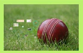 Image result for Cricket Images for Project