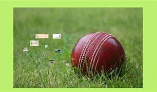 Image result for Project On Cricket for Class 2