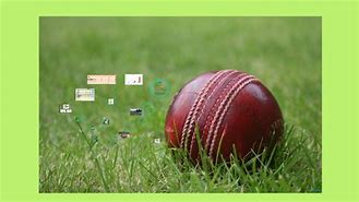 Image result for Scool Project Cricket