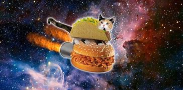 Image result for Hipster Galaxy Cat Wallpaper