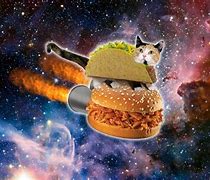 Image result for Space Cat Meme
