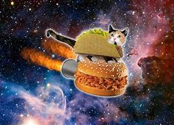 Image result for Galaxy Cat Meme