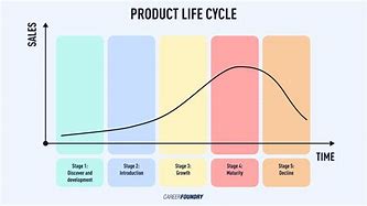 Image result for What Is a Product Life Cycle