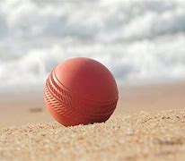 Image result for Cricket Game Images