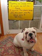 Image result for Funny Bad Puppies