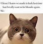 Image result for Funny Beauty Jokes