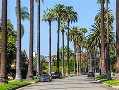 Image result for Los Angeles Beverly Hills