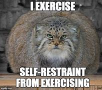 Image result for Fat Exercise Meme