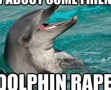 Image result for Irrawaddy Dolphin Memes