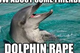 Image result for Dolphin Spin Meme