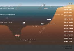 Image result for How Far Is the Ocean