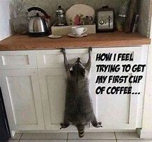 Image result for Coffee Humor
