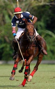 Image result for Polo Racing Team