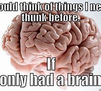 Image result for If I Only Had a Brain Meme