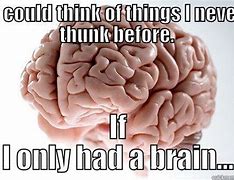 Image result for Laurn Bobert If I Only Had a Brain Meme