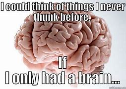 Image result for If I Only Had a Brain Meme