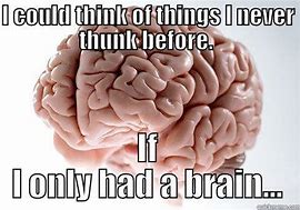Image result for Funny Meme If I Only Had a Brain