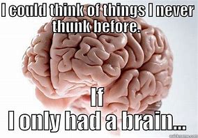 Image result for If I Only Had a Brain Meme