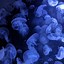 Image result for Cool Dark Blue iPhone Wallpaper