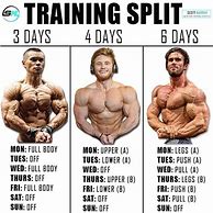 Image result for Best Workout Splits for Muscle Building