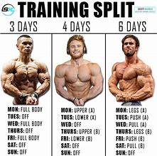 Image result for 5 Day Bodybuilding Workout Schedule